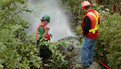 A Group Of People In A Forest